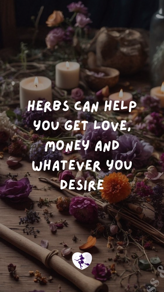 Herbs can help you get love, money and whatever you desire