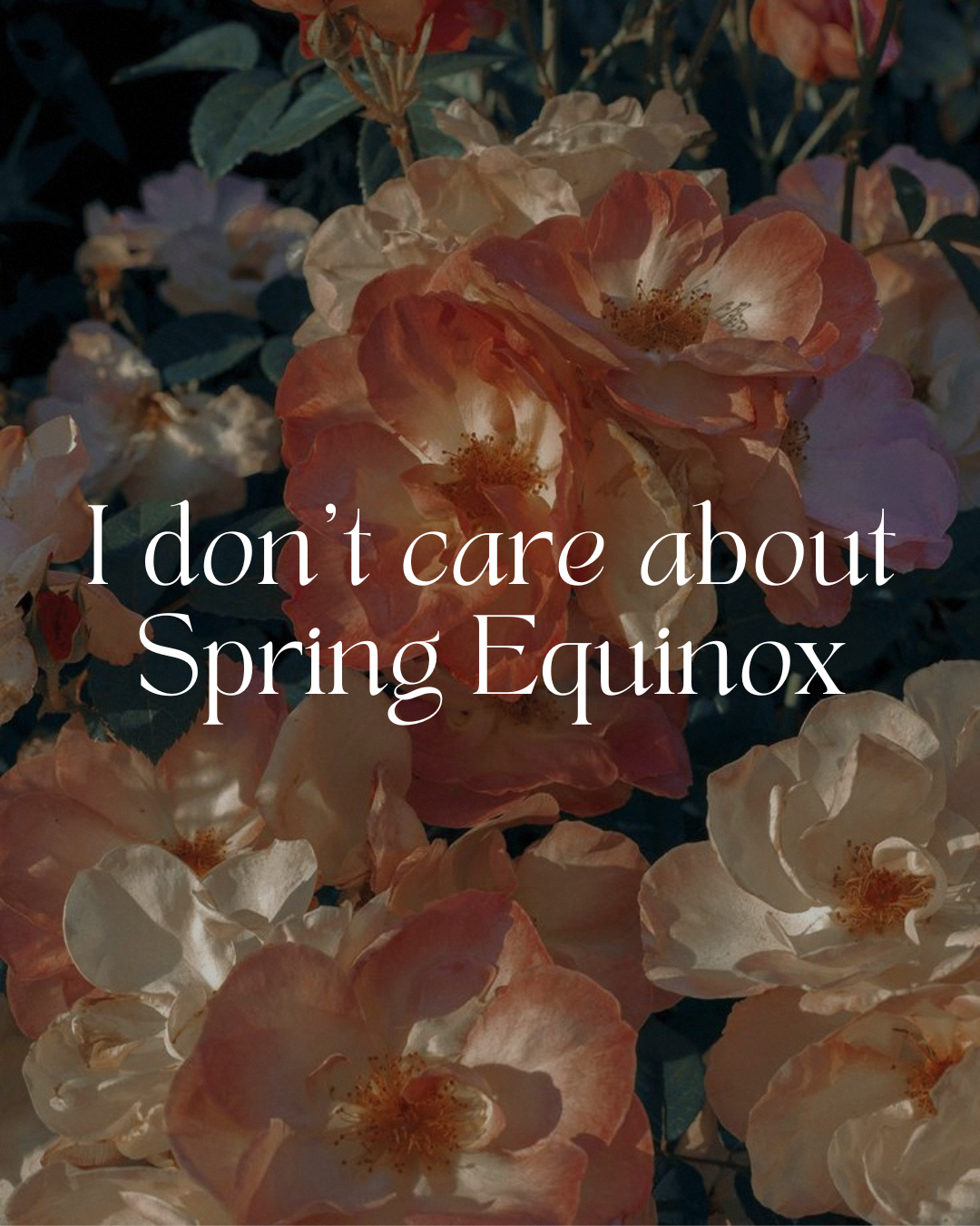 I don't care about Spring Equniox