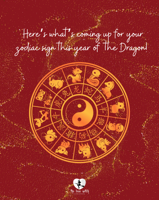 Dragon Year Zodiac Predictions for 2024