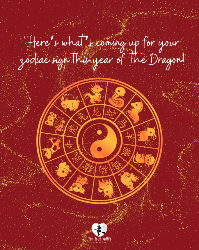 Dragon Year Zodiac Predictions for 2024 THE LOVE WITCH SINGAPORE
