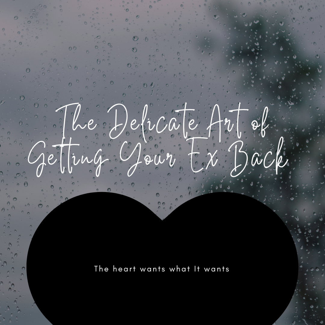The Delicate Art of Getting Your Ex Back (TRIED AND TESTED!)