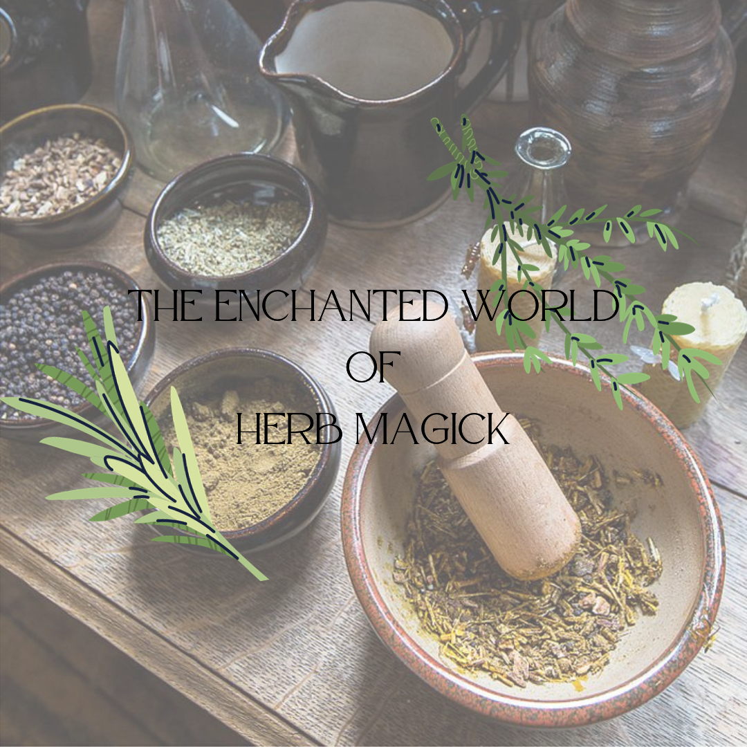The Enchanted World of Herb Magick