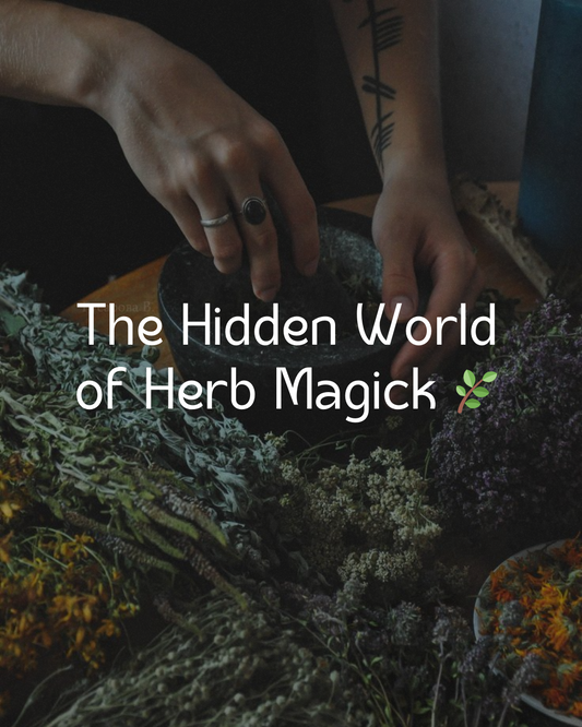 The Hidden World of Herb Magick 🌿