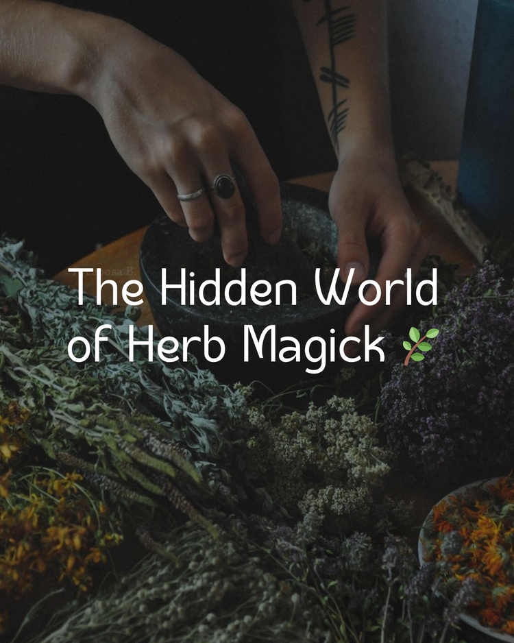 The Hidden World of Herb Magick 🌿 – THE LOVE WITCH SINGAPORE