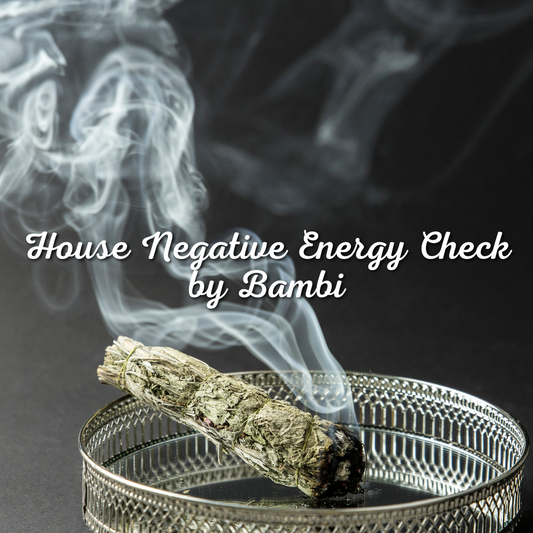 House Negative Energy Check by Bambi