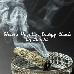 House Negative Energy Check by Bambi