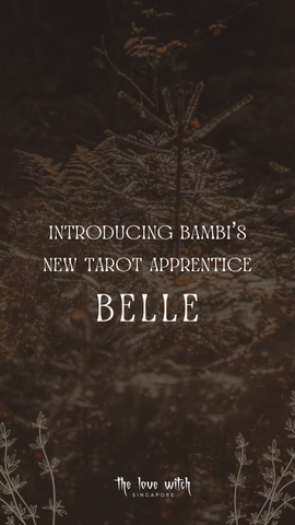 1-Question Remote Tarot Reading with Belle