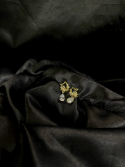 Opulence and Wealthy Life Earrings