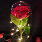 Everlasting Love Rose Dome