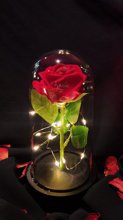 [VDAY SPECIAL] Everlasting Love Rose Dome