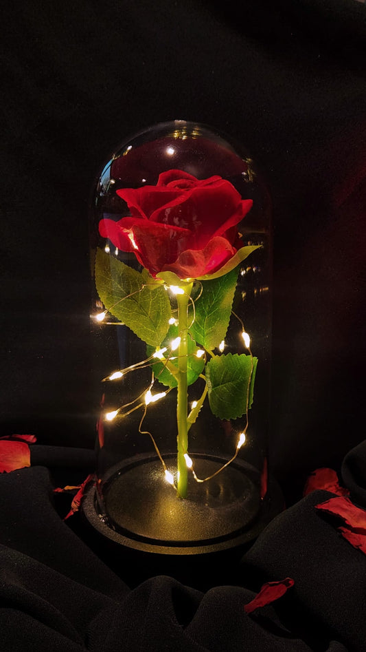 [VDAY SPECIAL] Everlasting Love Rose Dome
