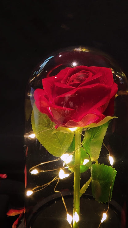 [VDAY SPECIAL] Everlasting Love Rose Dome