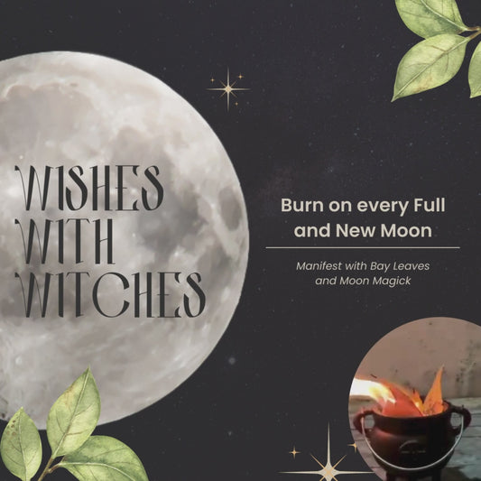 [THE LOVE WITCHXPERIENCE] Wishes with Witches (Sim Lim Square #02-28)