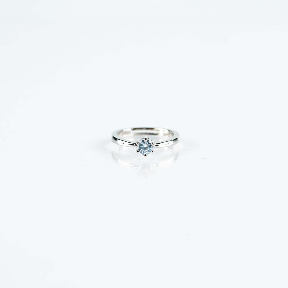 Lord Rosier's Rings of Love (Comes in a Pair)