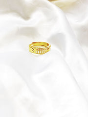 Wealth Amplifier & Attractor Ring